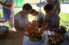 dsc08926_small.jpg