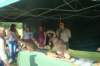 dsc08951_small.jpg
