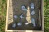 dsc08952_small.jpg