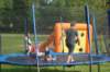 dsc09012_small.jpg