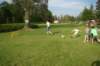 dsc09078_small.jpg