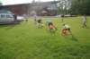dsc09079_small.jpg