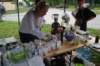 dsc09118_small.jpg