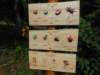 dscn1309_small.jpg